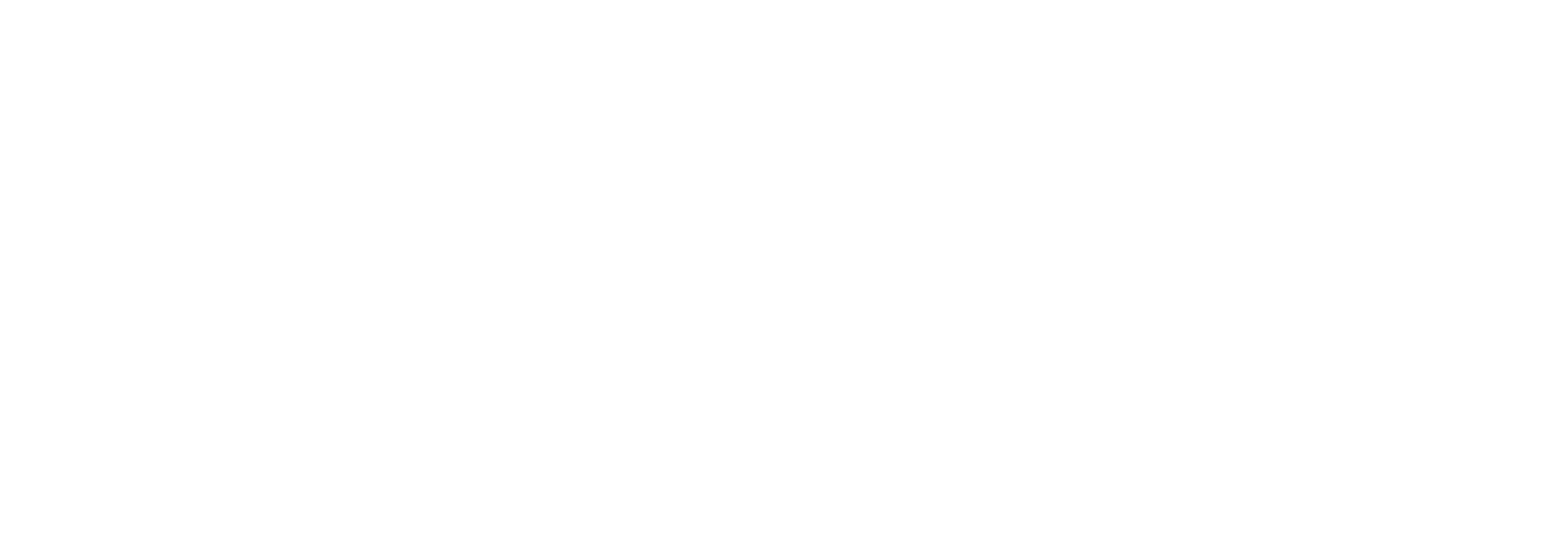 Ehrlich Brothers